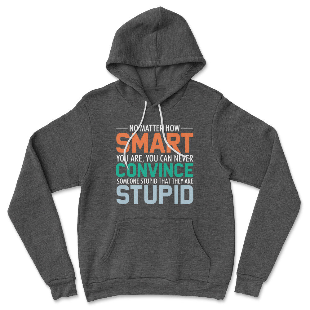 You Can Never Convince Someone Stupid That They Are Stupid Hoodie in Dark Grey Heather color