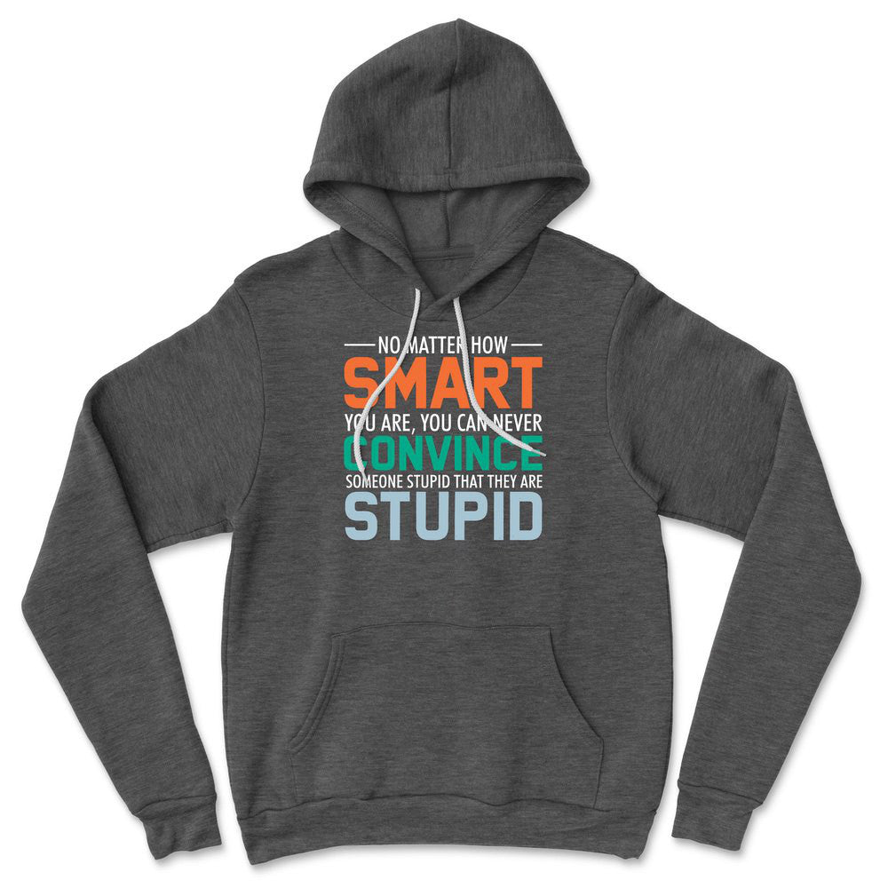 No Matter How Smart You Are, You Can Never Convince Someone That They Are Stupid Hoodie in Dark Grey Heather color