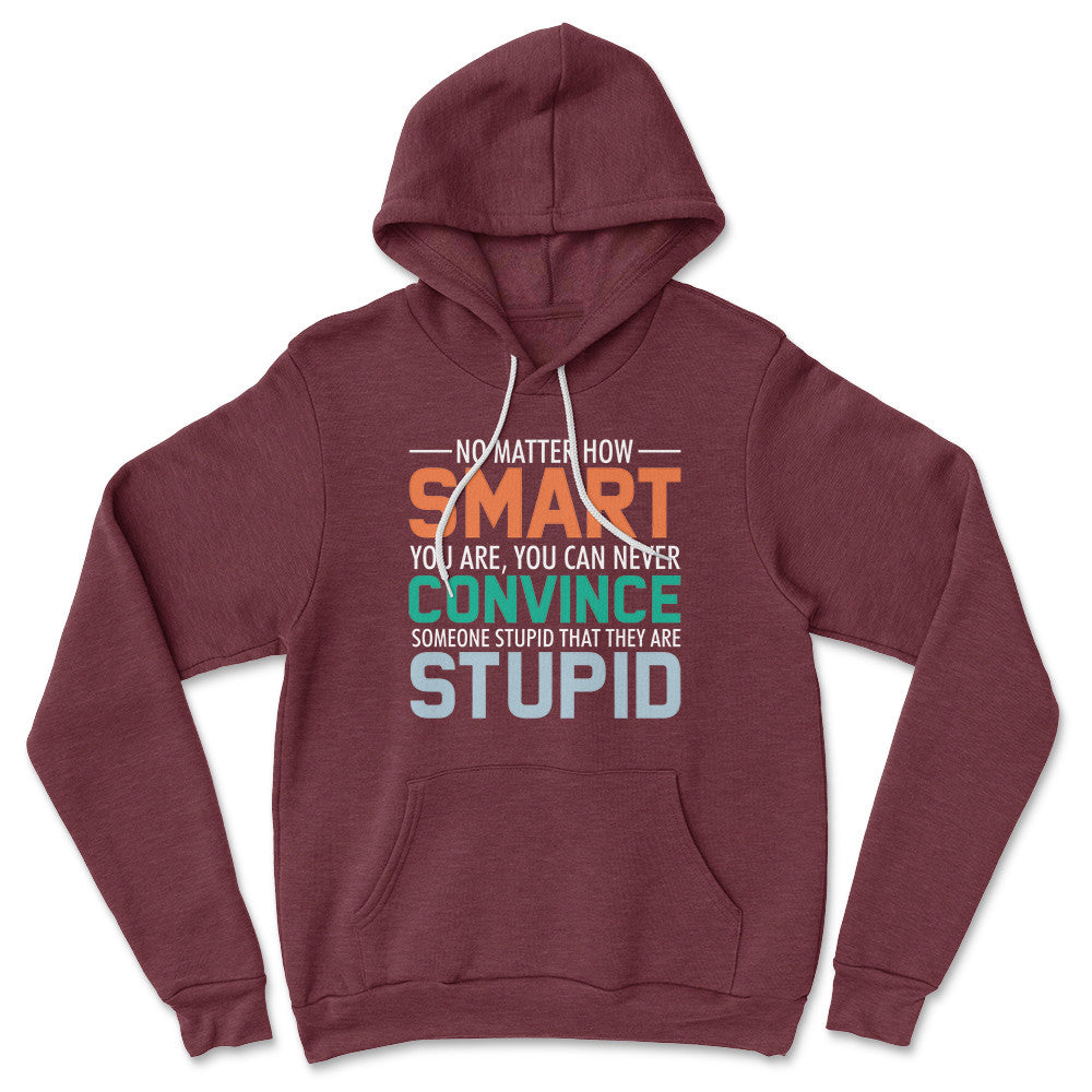 You Can Never Convince Someone Stupid That They Are Stupid Hoodie in Heather Maroon color