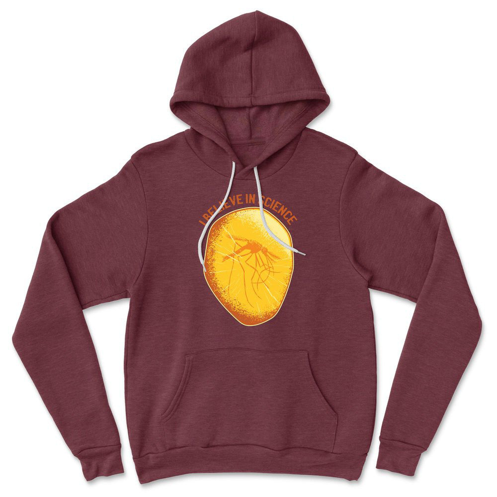 I Believe In Science Hoodie in Heather Maroon color