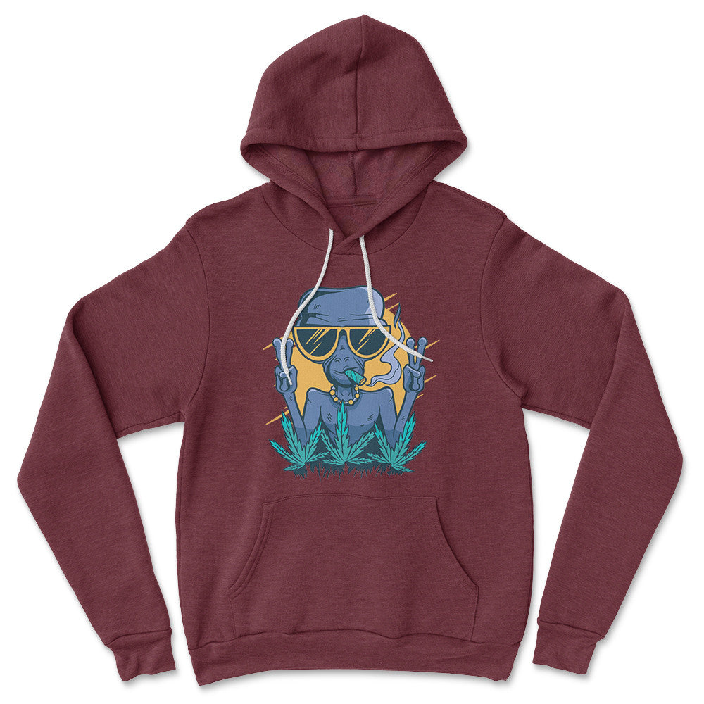 Alien Joint Hoodie in Heather Maroon color