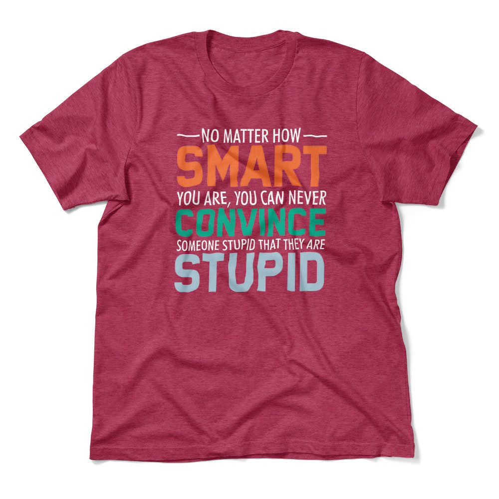 You Can Never Convince Someone Stupid That They Are Stupid Men/Unisex T-Shirt in Heather Raspberry color