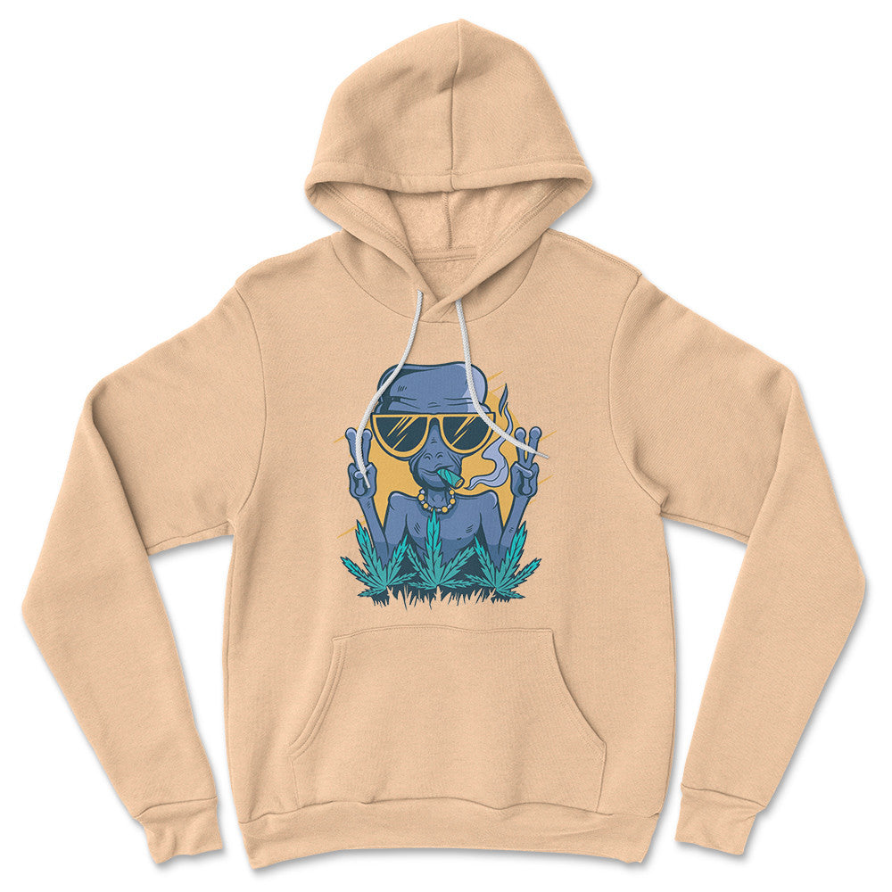 Alien Joint Hoodie in Heather Sand Dune color